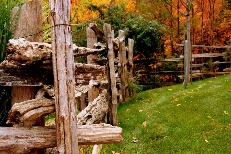 Illustration for article titled 100 Gorgeous Photos Of Fall Leaves